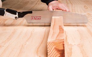 TopMan | Zetsaw Carpenters VIII 265