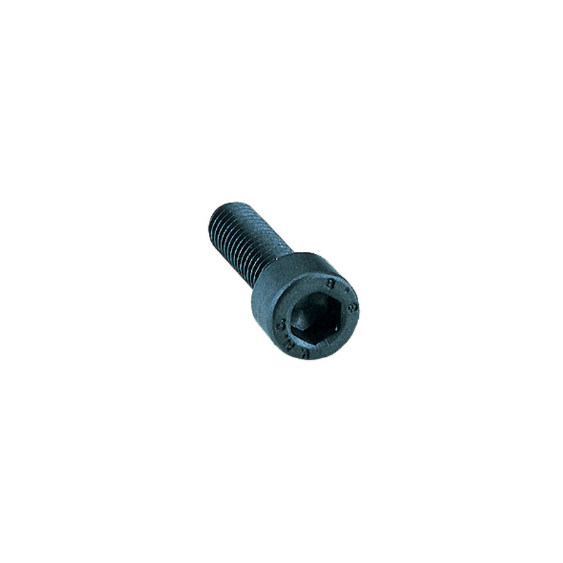 Dimar | Screw M6.3 X 19mm-Toolcraft