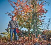 Einhell | Cordless Leaf Blower GP-LB 36/210 Li E Tool Only - Toolcraft