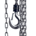 Einhell | Chain Hoist 1000kg 2,5m Lift Height TC-CH 1000 (Online Only) - BPM Toolcraft